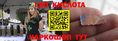 дмт Гатчина