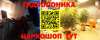 спайс Гай