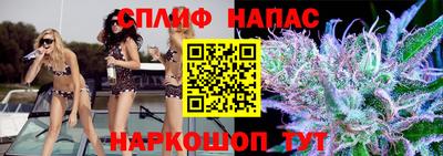 спайс Гай