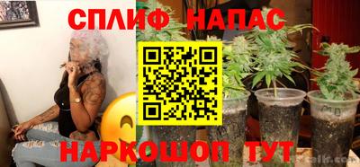 дмт Гатчина