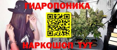 спайс Гай