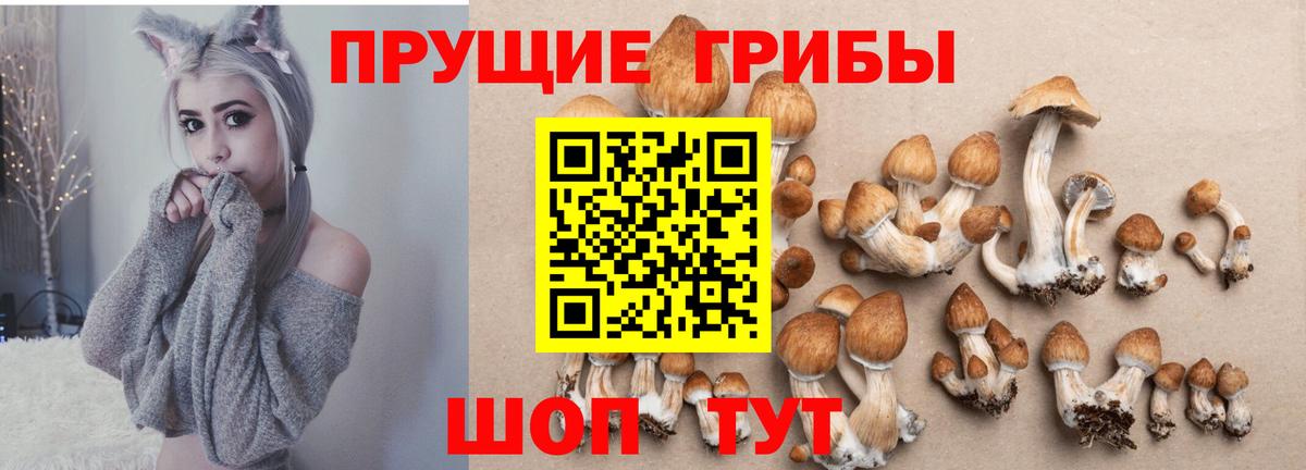 Галлюциногенные грибы мицелий  где найти   Кирово-Чепецк  Вход с VPN 
