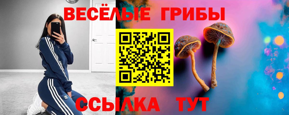 Псилоцибиновые грибы прущие грибы Кирово-Чепецк